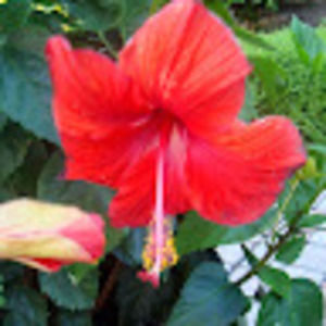 Meet your Posher, Alma